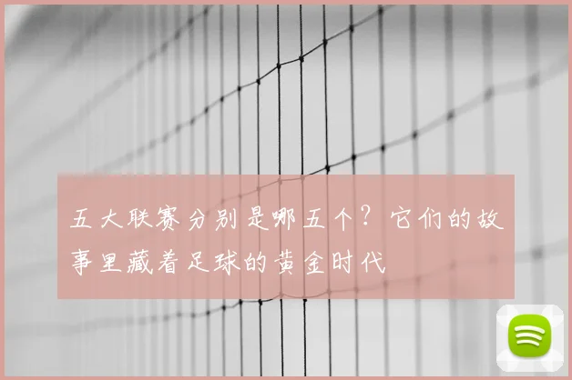 五大联赛分别是哪五个？它们的故事里藏着足球的黄金时代